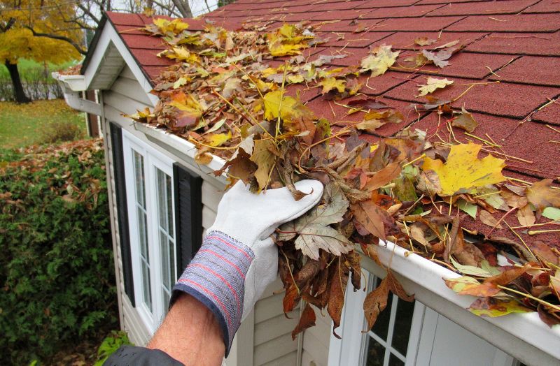 Downspout Cleaning in Baltimore, MD