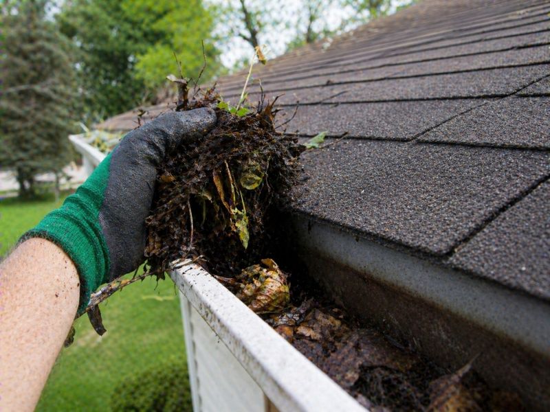 Gutter Blockage Removal in Fredericksburg, VA