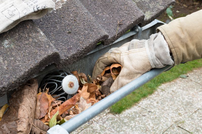 Gutter Cleaning in Arvada, CO