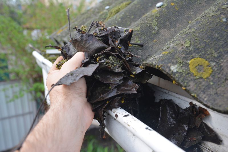 Gutter Leaves Removal in Frederick, MD