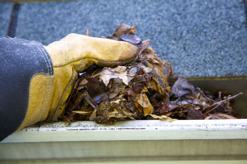 Gutter Leaves Removal in Rochester, NY