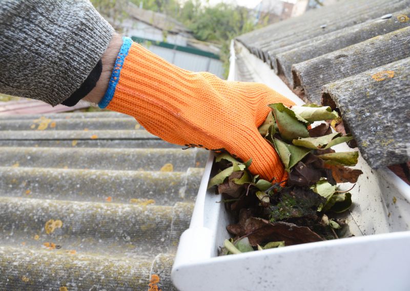Industrial Gutter Cleaning in Littleton, CO