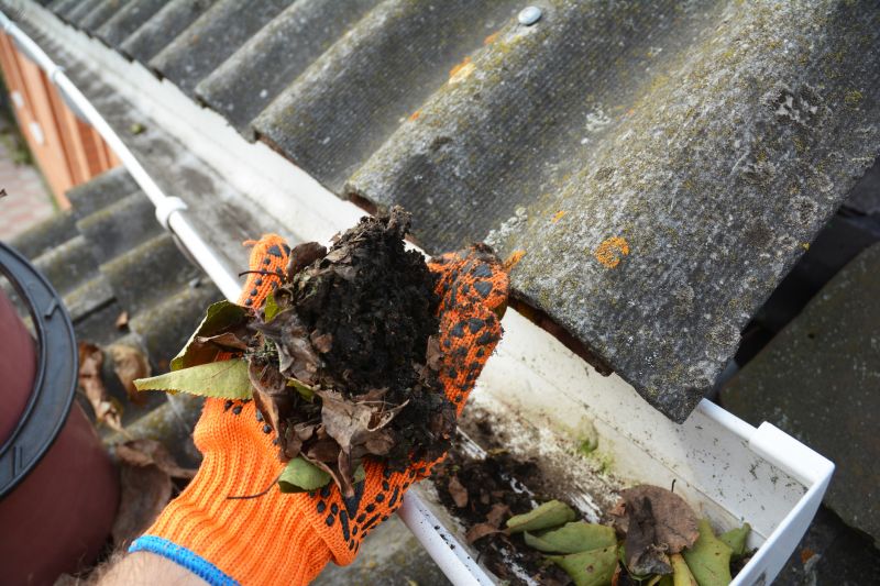 Roof Gutter Cleaning in Pittsburgh, PA
