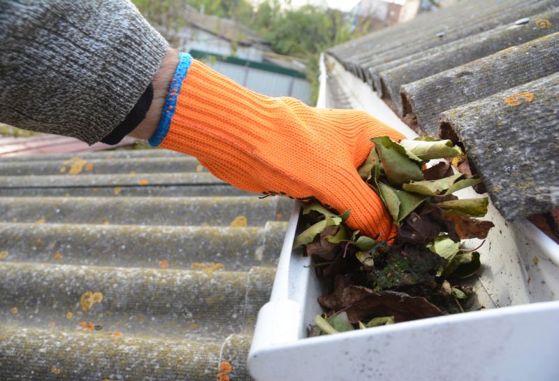 Roof Gutter Cleaning in Richmond, VA