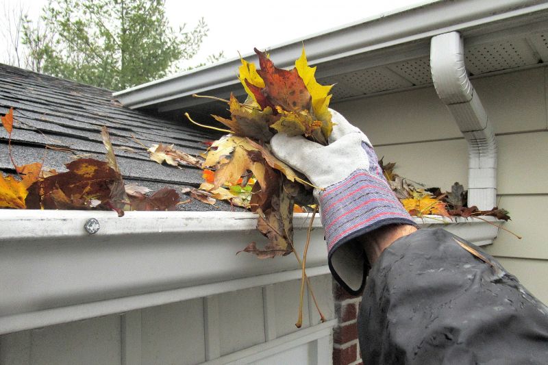 Roof Gutter Cleaning in Monmouth County, NJ