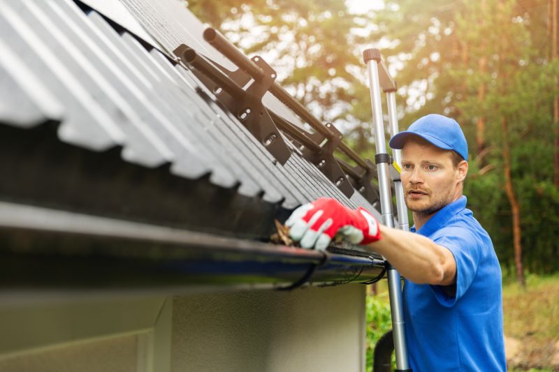 Gutter Maintenance in Longmont, CO